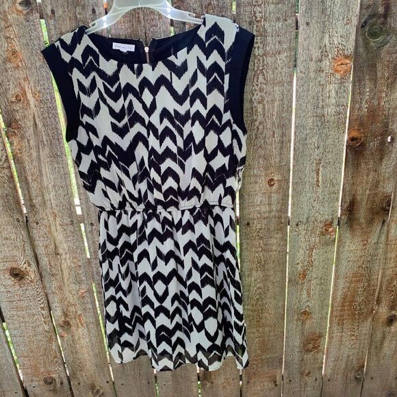 Socialite mini dress sleeveless size large - Picture 1 of 9